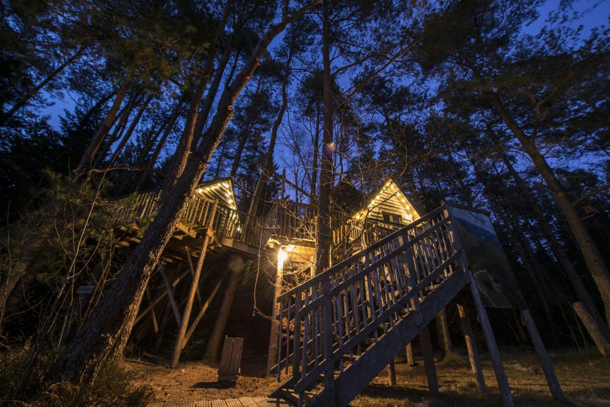 Nids Des Vosges Bed and Breakfast Champdray Buitenkant foto